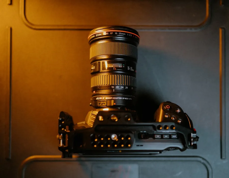 Composed photographic framing reference — editorial visual direction